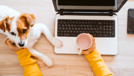 Personalized dog mug for pet parents