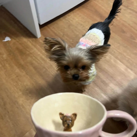 Customized Pet Mugs