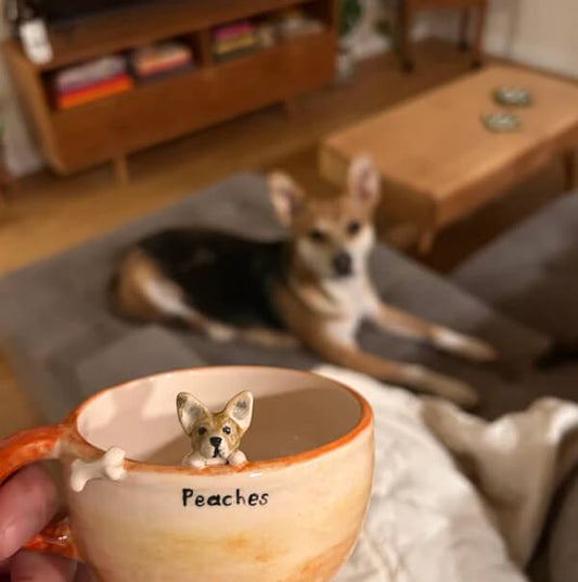 Customized Pet Mugs