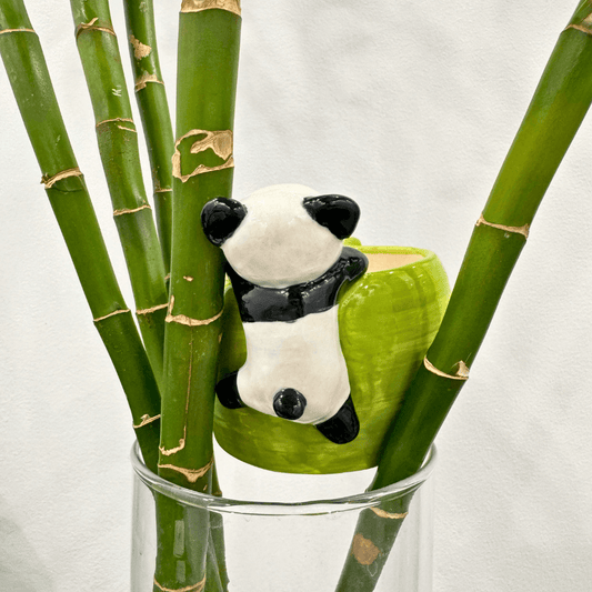 Panda Hug Mug – Bamboo Style Ceramic Cup BoopCup
