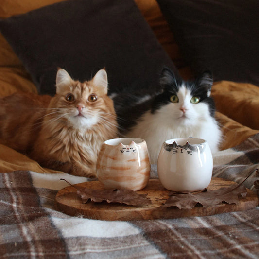 kawaii cat face mug with handle
