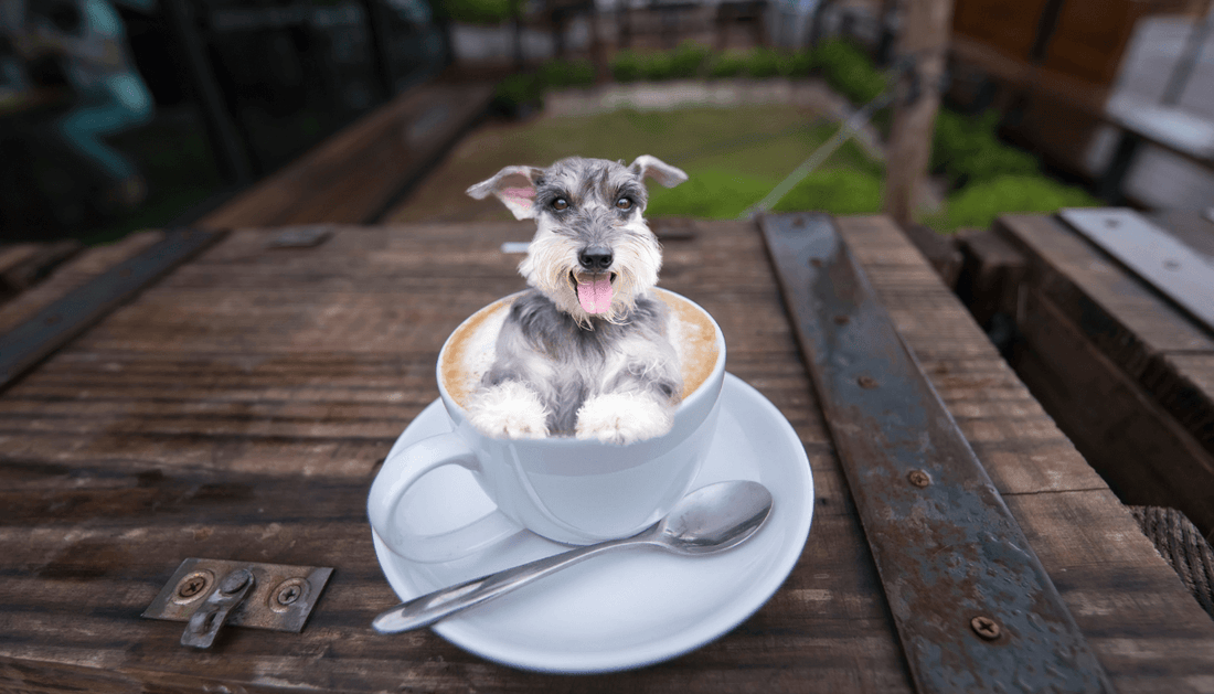 custom realistic 3D dog mug